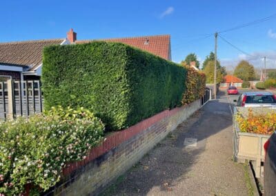 j tapsell tree & landscaping facebook gallery 13