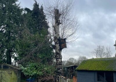 j tapsell tree & landscaping facebook gallery 15
