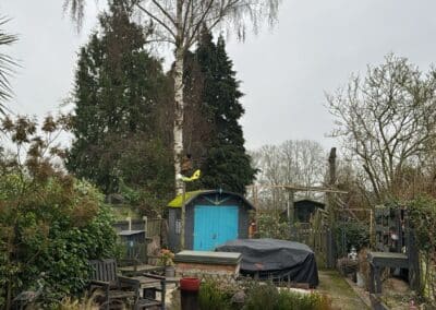 j tapsell tree & landscaping facebook gallery 16
