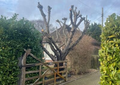 j tapsell tree & landscaping facebook gallery 17