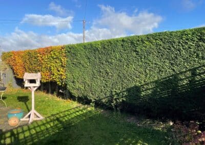 j tapsell tree & landscaping facebook gallery 25