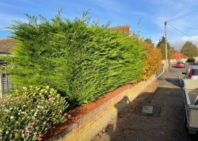 j tapsell tree & landscaping facebook gallery 4